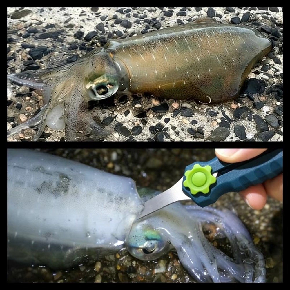 ステンレス鋼釣り糸はさみ多機能ナイフデザイン多機能釣り道具ラ - Fishing Line Cutter のレビューと価格